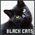 Black Cats Fan