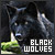 Black Wolf Fan