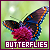 Butterflies Fan