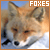 Fox Fan