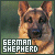 German Shepherds Fan