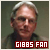 Gibbs Fan