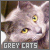 Grey Cats Fan
