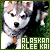 Alaskan Klee Kai Fan