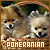 Pomeranians Fan