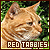 Red Tabby Cats Fan