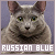 Russian Blue Fan