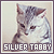 Silver Tabby Cats Fan
