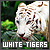White Tigers Fan