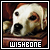 Wishbone Fan